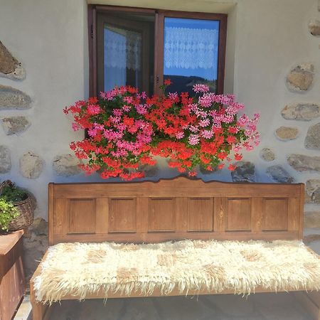 Радкината Къща Hotel Koprivshtitsa Eksteriør billede